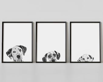 Dalmatiner Hund Print 3er Set, spähender Dalmatiner Hund Portrait Prints, schwarz-weiße Hundewandkunst, digitaler Download
