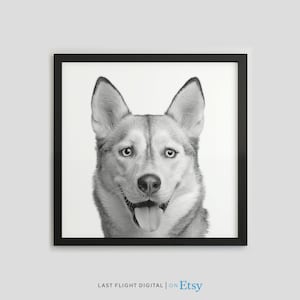 Hundedruck, Siberian Husky, Hund Poster, Welpen Druck, Welpe Poster, Kinderzimmer, schwarz weiß Foto, Kinderzimmer, Siberian Husky Druck, Husky Poster