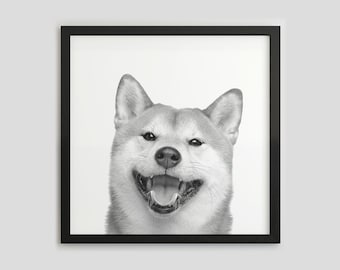 Shiba Inu Black and White Dog Portrait, Pet Photography Print, Dog Wall Art, Digital Download