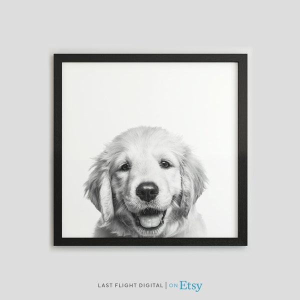 Dog Print, Golden Retriever Puppy, Dog Poster, Puppy Print, Puppy Poster, Kids Room, Nursery, Face, Black White Photo, Dog Poster, Cute Dog