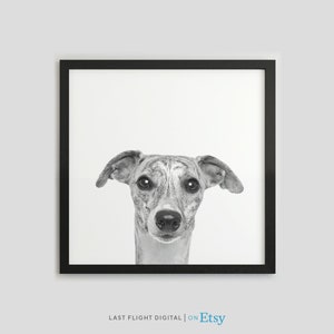 Dog Print, Whippet, Dog Poster, Puppy Print, Puppy Poster, Kids Room, Black White Photo, Nursery, Whippet Print, Whippet Puppy, Greyhound