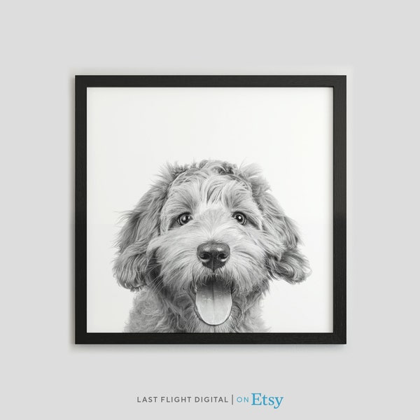 Dog Print, Labradoodle, Dog Poster, Puppy Print, Puppy Poster, Kids Room, Baby Room, Black & White Photo, Wall Art, Cute, Labradoodle Print