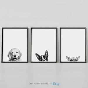 Dog Print, Set of 3, Peeking, Golden Retriever, Boxer, Chihuahua, Dog Poster, Puppy Print, Black White Photo, Cute, Puppy Poster, Kids Room