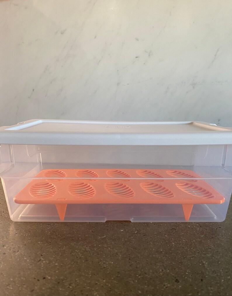 Ball Python Egg Hatch Tray Reptile Incubator Rack Snake Etsy