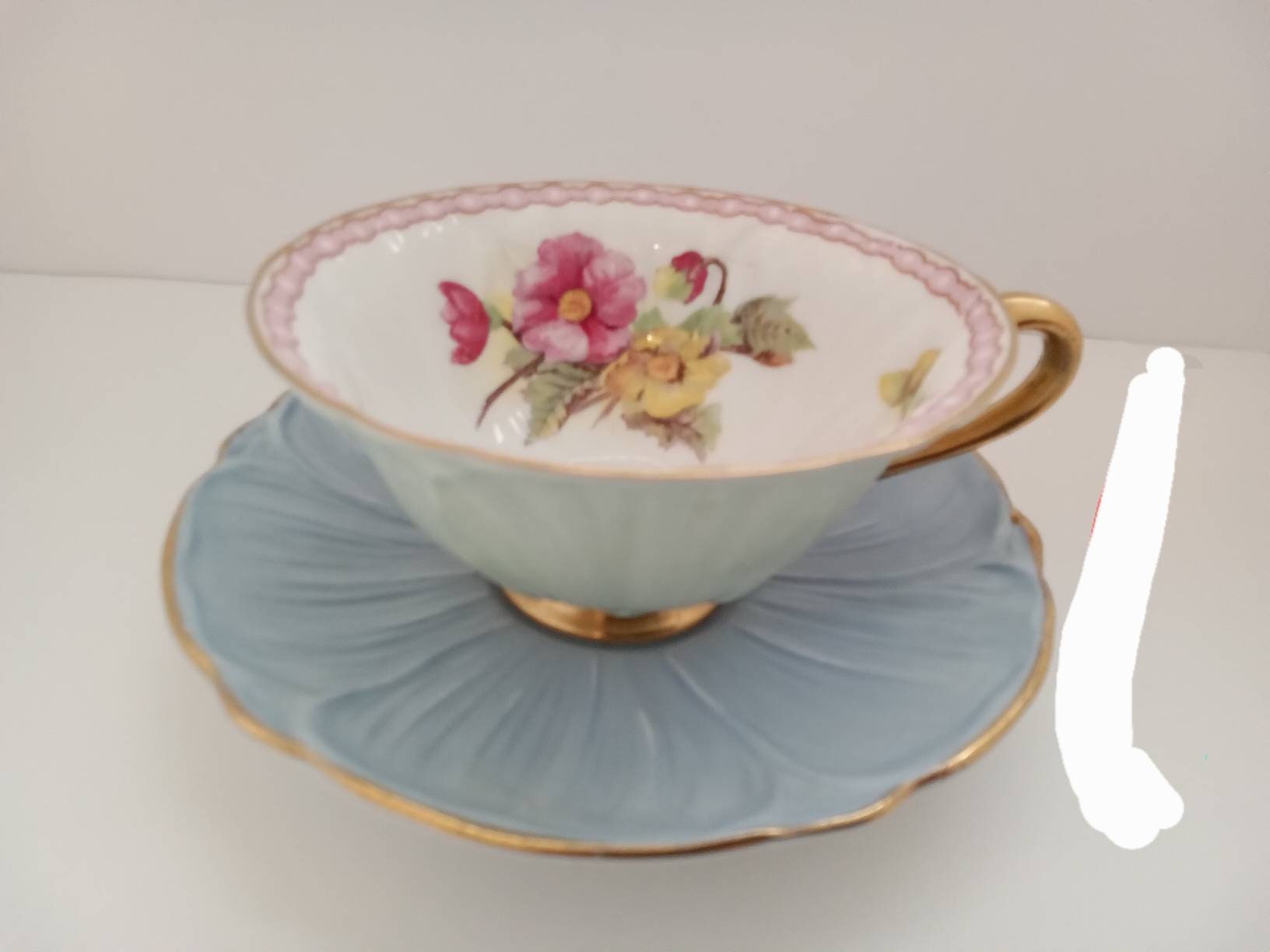 Shelley Oleander Begonia Vintage Tea Cup & Saucer Mint Green Etsy
