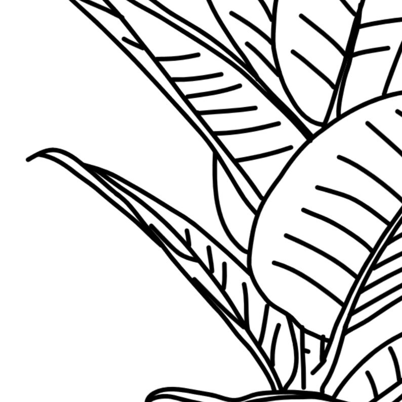 Printable Rubber Plant Line Art DIGITAL DOWNLOAD Black & White Minimalist Wall Art Abstract