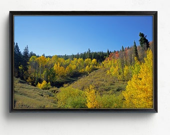 Printable Guardsman Pass Mountains In Utah | Digital Download | Wall Art Digital Print | Fall Colors Landscape | Mountain Forest Road