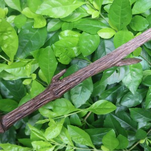 Hand Carved Wiccan Wands, Custom Magic Wand, Branches Wand, Altar Wand, Larp Weapon, Sycamore Wand image 6