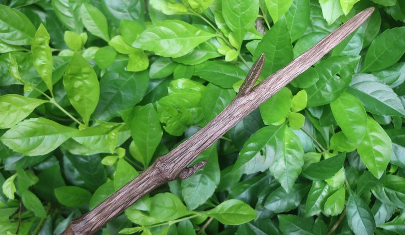 Hand Carved Wiccan Wands, Custom Magic Wand, Branches Wand, Altar Wand, Larp Weapon, Sycamore Wand image 7