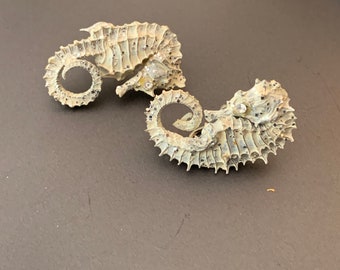 Seahorse Skeleton Earrings