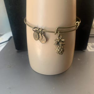Alex and Ani Adjustable charm bracelet
