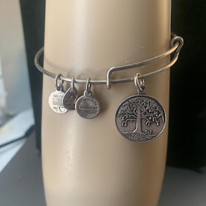 2014 Alex and Ani charm bracelet