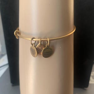 Alex and Ani Adjustable charm bracelet