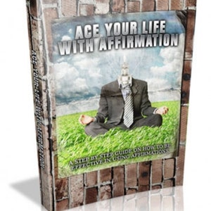 Könnte beinhalten: Ein Ratgeber mit dem Titel "Ace Your Life With Affirmation". Das Cover zeigt eine Person im Anzug, die auf Gras meditiert, mit einem Glühbirnenkopf. Der Buchrücken und das Cover haben ein Backsteinmauer-Design.