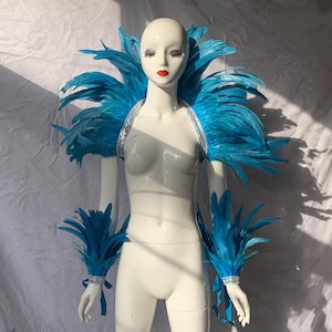 May include: A blue feather costume with a large collar, shoulder pieces, and arm cuffs. The costume is made of soft, fluffy feathers and is perfect for a carnival or party.
