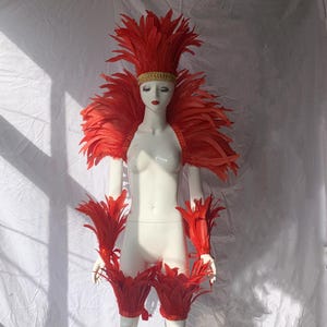 Châle plumes rouges 4 tons, châle plumes showgirl, manchette plumes pour costume de carnaval, chaîne en plumes de coq, haut en plumes
