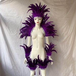 May include: Purple feather costume set with a headpiece, shoulder pieces, and arm cuffs. The costume is made of feathers and has a silver trim.