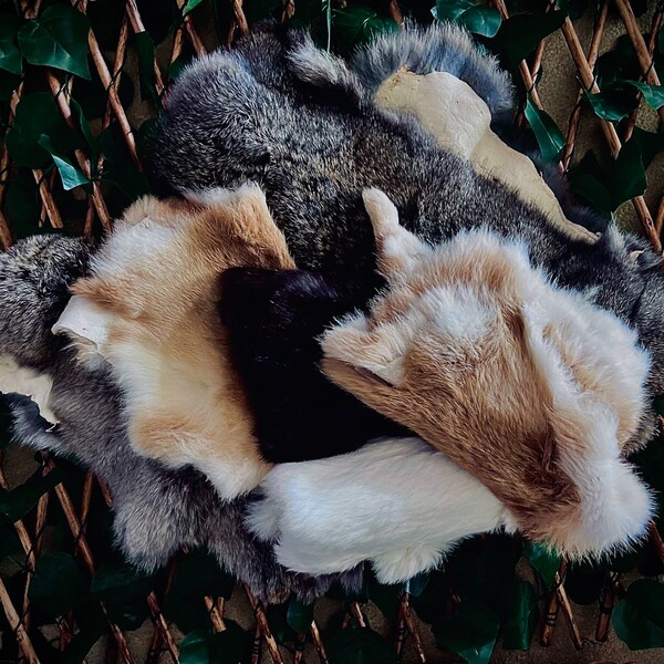 Rabbit Pelt - Etsy