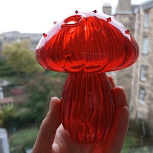 May include: A red glass mushroom shaped pipe with a small hole on top. The pipe has a textured surface and is held in a hand.