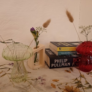 May include: Two mushroom-shaped glass vases, one green and one red, with dried flowers and a book titled "The Book of Dust" by Philip Pullman.