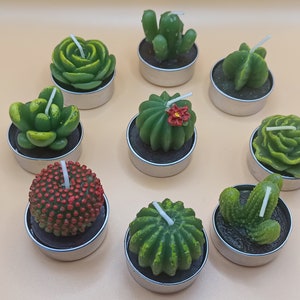 Cactus candle set of 6, Succulent candle set, Unscented cactus candles, Mini candles, Plant lovers gift, Cactus tealight, cute candles