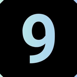 Enneagram 9 Journal - Ten Tough Questions