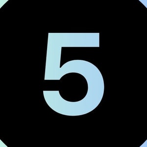 Enneagram 5 Journal - Ten Tough Questions