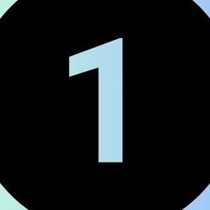 Enneagram 1 Journal - Ten Tough Questions