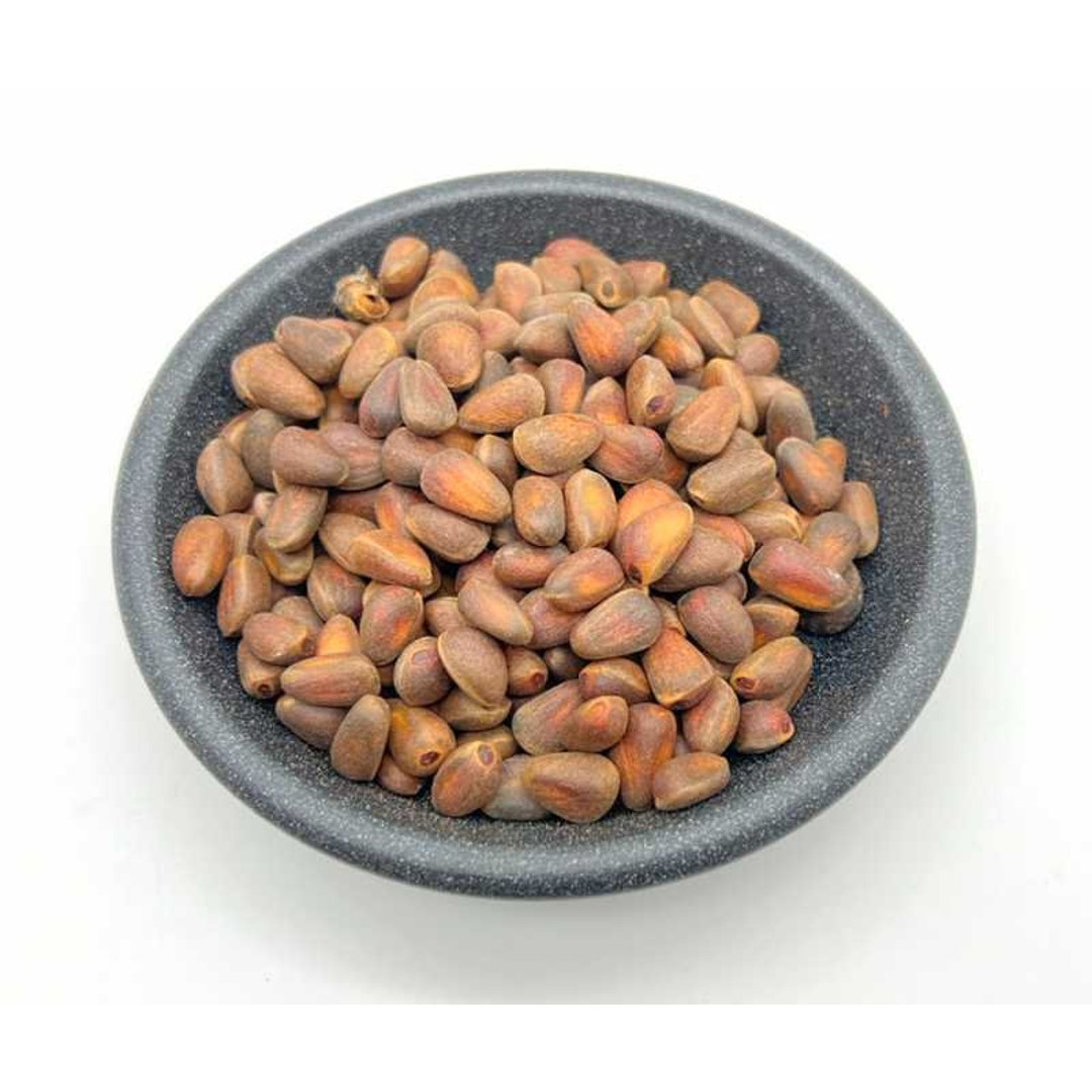 Pine Nuts in Shell Roasted Etsy