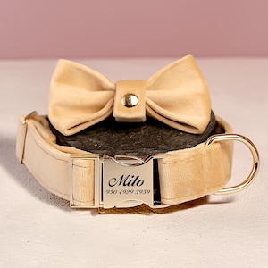 Dog Collar Personalized, Custom Dog Collar With Name and Phone Number, Engraved Pet Collar, Engraved Pet Name Plate, Pet Gift for Dog Lover