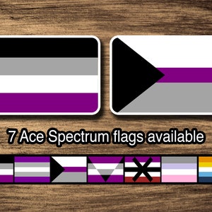 Ace Spectrum Pride: Asexual, Grey-Ace, Demisexual, Ageo, Apothi, Cupio, Aroace LGBTQIA LGBTQ LGBT Rectangle-Shaped Kiss-Cut Stickers