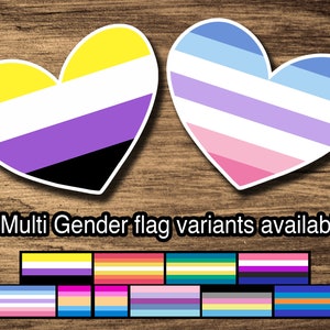 Multi Genders: Nonbinary, Genderfluid, Bigender, Enby, Mirror, Omnigender, Polygender, Multigender, LGBTQ Heart-Shaped Kiss-Cut Stickers