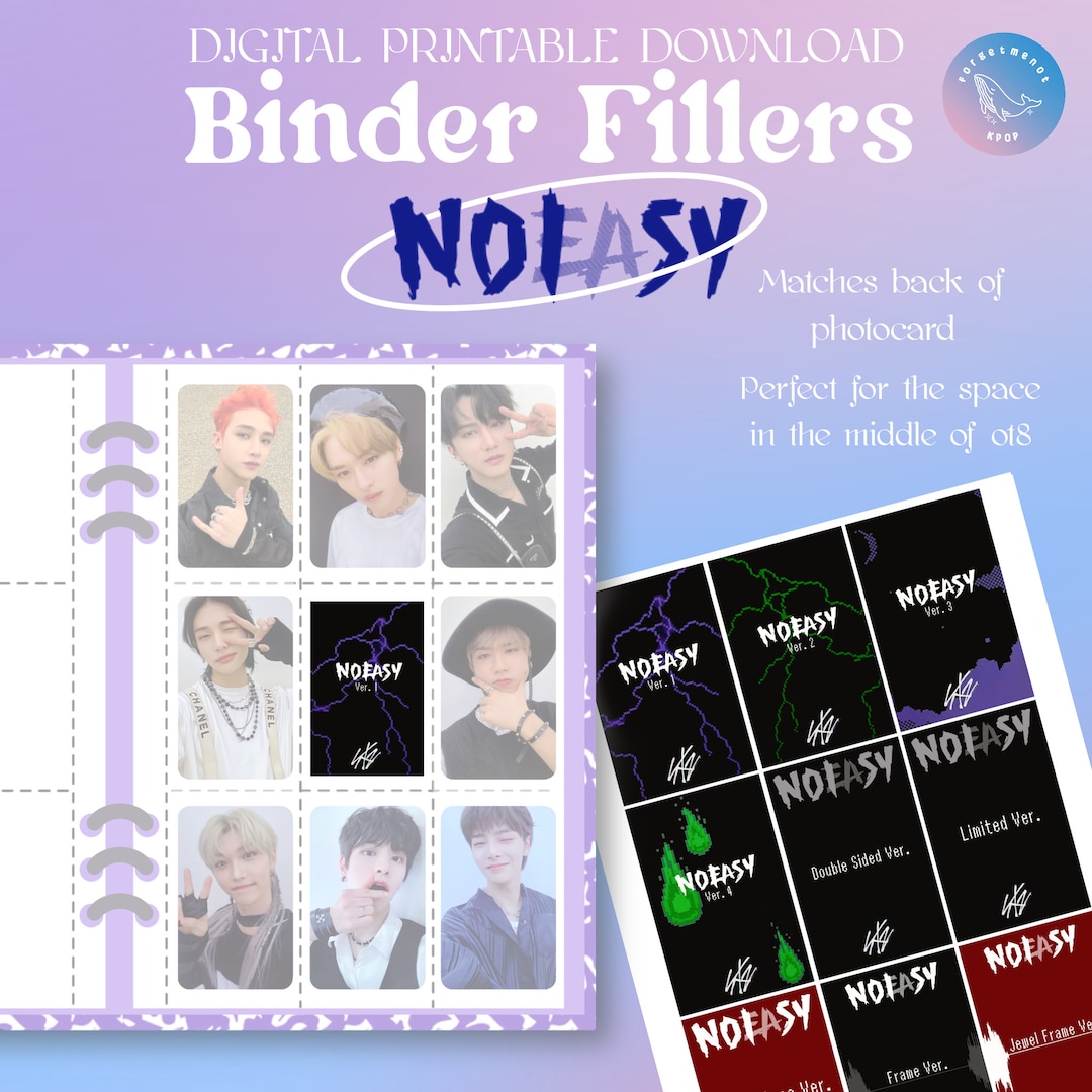 Stray Kids Noeasy Album Photocards Kpop Binder Filler Placeholder