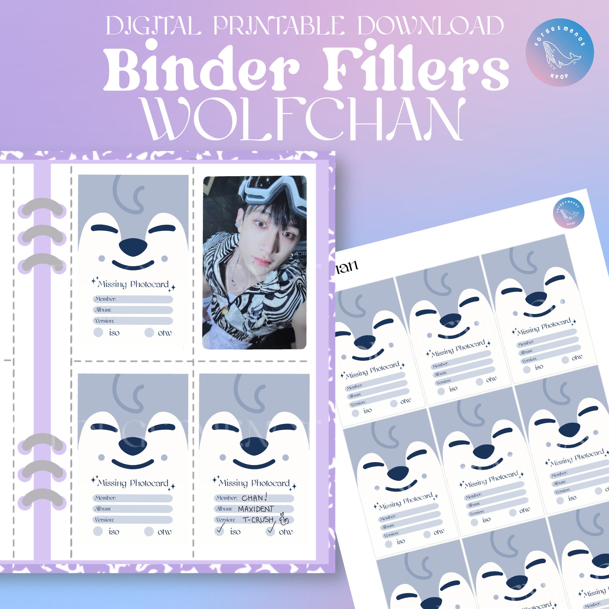 Stray Kids Bang Chan Wolf Chan Photocards Kpop Binder Missing
