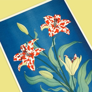 Könnte beinhalten: Ein floraler Druck mit Lilien mit rot-weiß gefleckten Blütenblättern, grünen Blättern und gelben Knospen vor tiefblauem Hintergrund. Das Kunstwerk ist mit einem weißen Rahmen versehen und vor einem gelben Hintergrund platziert.