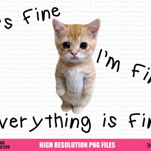 Puede incluir: Un gatito tabby naranja de aspecto triste con ojos llorosos se encuentra de pie sobre un fondo blanco. El texto "It's Fine", "I'm Fine" y "Everything is Fine" está escrito en marcador negro alrededor del gatito.