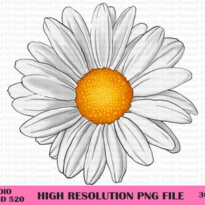 Daisy Png, Flower Png, Spring Daisy Png, Spring Flower Png, White Flower Png, Daisy Sublimation, Sunflower Png, Instant Download