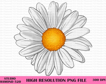 Daisy Png, Flower Png, Spring Daisy Png, Spring Flower Png, White Flower Png, Daisy Sublimation, Sunflower Png, Instant Download