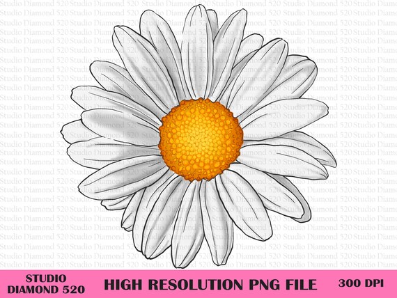 Daisy Png, Flower Png, Spring Daisy Png, Spring Flower Png, White Flower Png, Daisy Sublimation, Sunflower Png, Instant Download