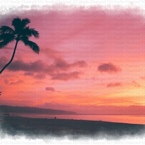May include: A silhouette of a palm tree against a vibrant pink and orange sunset over a beach. The sky is filled with fluffy clouds, creating a dreamy and tropical atmosphere.