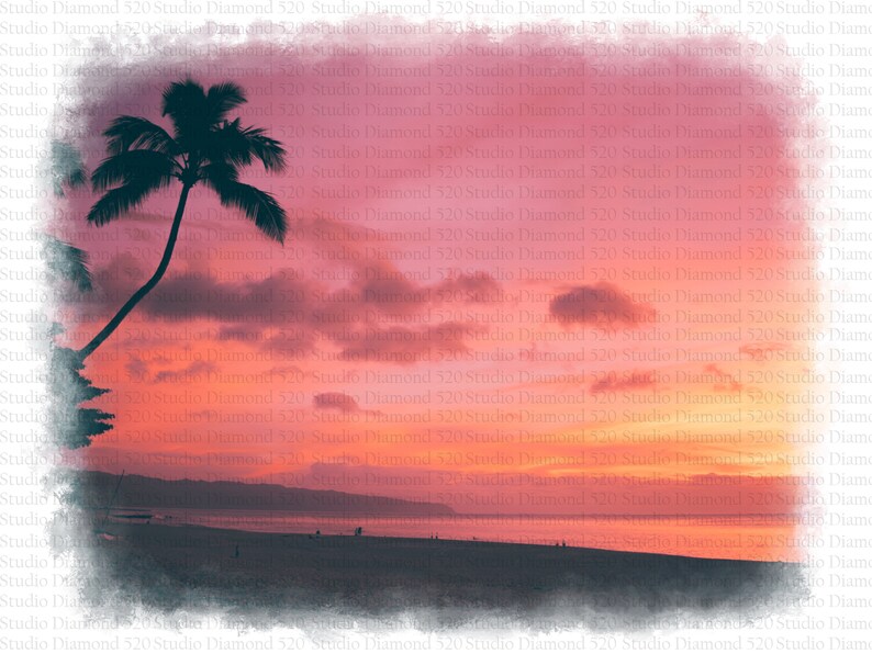 May include: A silhouette of a palm tree against a vibrant pink and orange sunset over a beach. The sky is filled with fluffy clouds, creating a dreamy and tropical atmosphere.