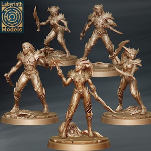 Dark Elves Spider Cult Assassins - Individual/Set of 5 Miniatures - D&D Fantasy RPG - Labyrinth Models - Fantasy, Drow, Khaine Daughters