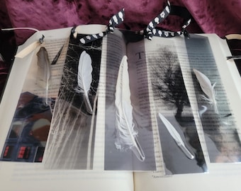Handmade Transparent Fantasy Bookmarks. Lamination Spooky Oddity Authentic Feather Page-Marker. Edgar Allen Poe Themed. Quill on x-ray paper