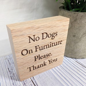 May include: A wooden sign with the text "No Dogs On Furniture Please. Thank You" engraved on it.