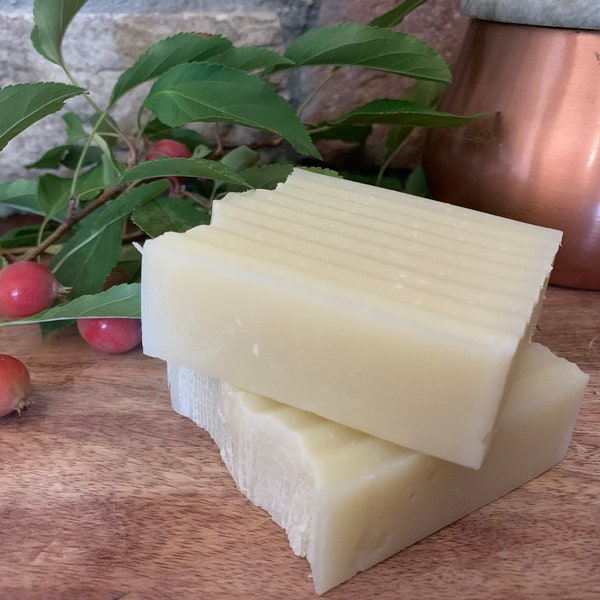 Tallow Shampoo Bar