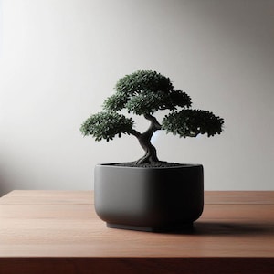 ModernSquare Bonsai Planter