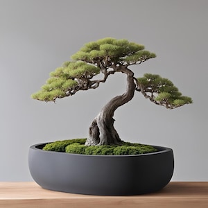 Minimalist Round Bonsai Planter