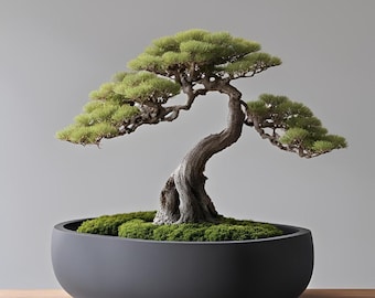 Minimalist Round Bonsai Planter