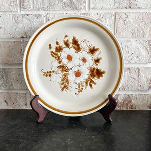 May include: A white ceramic dinner plate with a brown rim and a floral design featuring white flowers with orange centers and brown leaves.