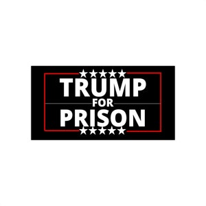 Trump for Prison Bumper Sticker, anti maga, anti republican, leftist bumper sticker, car accessories, progressive politics